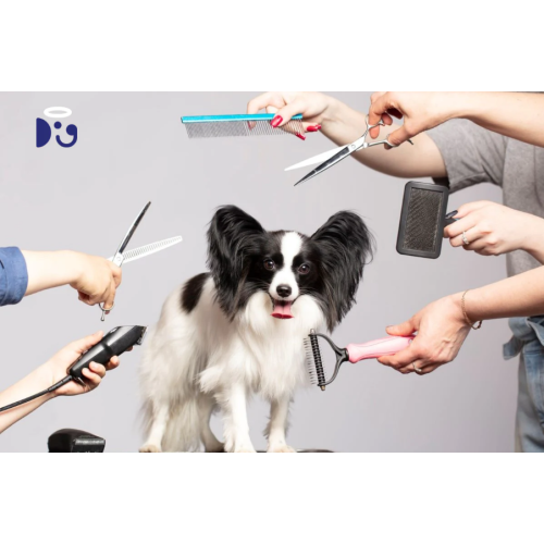 Groomer