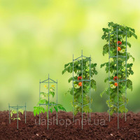 Vevor 317100 6x гратчастий тримач для квітів, клітка для помідорів, тримач для рослин, опора для рослин 122 см