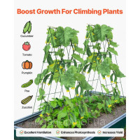 Vevor 317126 Набір з 2 складних опор для скелелазіння A-Frame Cucumber Trellis 100x80cm