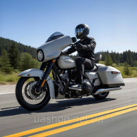 Vevor 310672 Спинка водія мотоцикла Sissy Bar для моделей Harley Touring 2009-2024 років