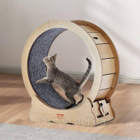 Vevor 313597 Велосипед Vevvor Cat для котів в приміщенні з котячими подряпинами на велосипеді 75 см